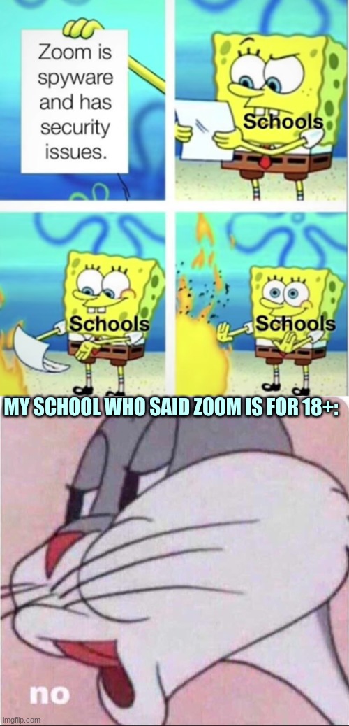 RIP my school | MY SCHOOL WHO SAID ZOOM IS FOR 18+: | image tagged in bugs no | made w/ Imgflip meme maker