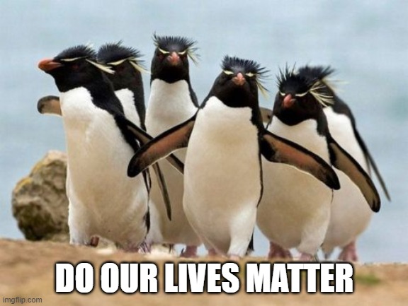 Penguin Gang | DO OUR LIVES MATTER | image tagged in memes,penguin gang | made w/ Imgflip meme maker