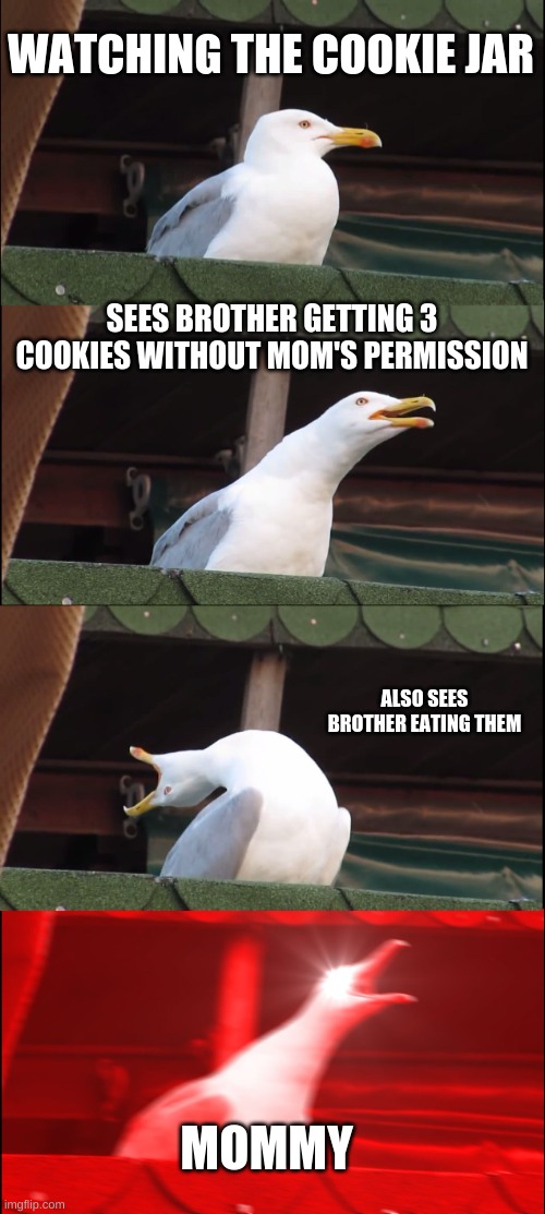 Inhaling Seagull | WATCHING THE COOKIE JAR; SEES BROTHER GETTING 3 COOKIES WITHOUT MOM'S PERMISSION; ALSO SEES BROTHER EATING THEM; MOMMY | image tagged in memes,inhaling seagull | made w/ Imgflip meme maker