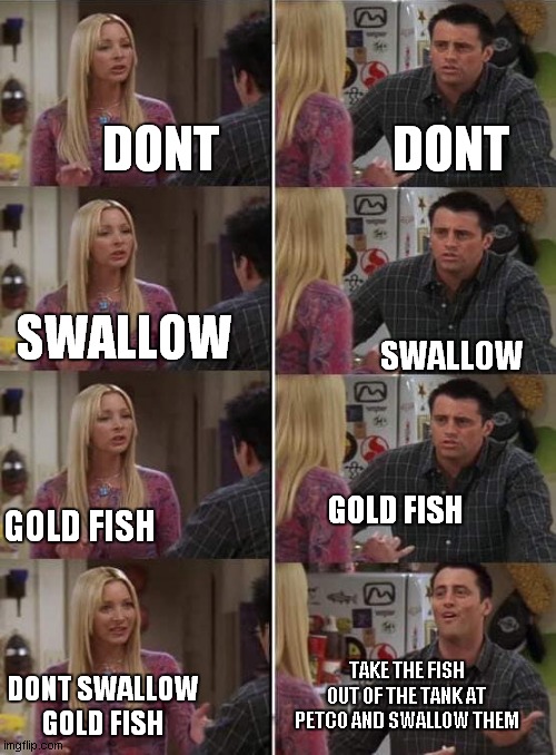 Phoebe teaching Joey in Friends | DONT; DONT; SWALLOW; SWALLOW; GOLD FISH; GOLD FISH; TAKE THE FISH OUT OF THE TANK AT PETCO AND SWALLOW THEM; DONT SWALLOW GOLD FISH | image tagged in phoebe teaching joey in friends | made w/ Imgflip meme maker
