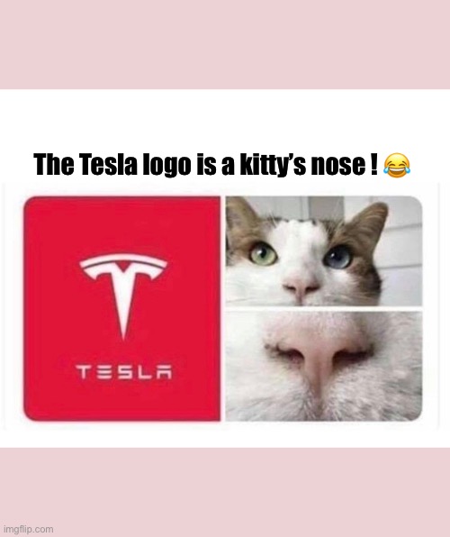 The Tesla logo is a kitty’s nose ! 😂 | image tagged in tesla logo,kitty nose,tesla logo kitty nose,tesla cat nose,tesla cat,tesla kitty | made w/ Imgflip meme maker