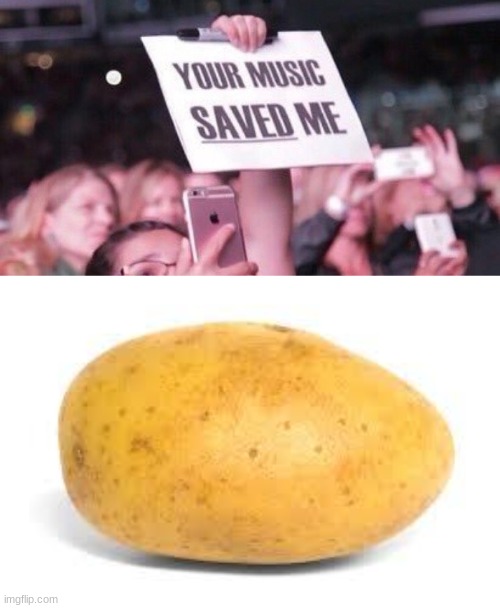 lol idek what this is but I love potatoes | image tagged in potato,your music saved me | made w/ Imgflip meme maker