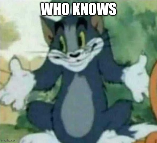 tom i dont know meme | WHO KNOWS | image tagged in tom i dont know meme | made w/ Imgflip meme maker