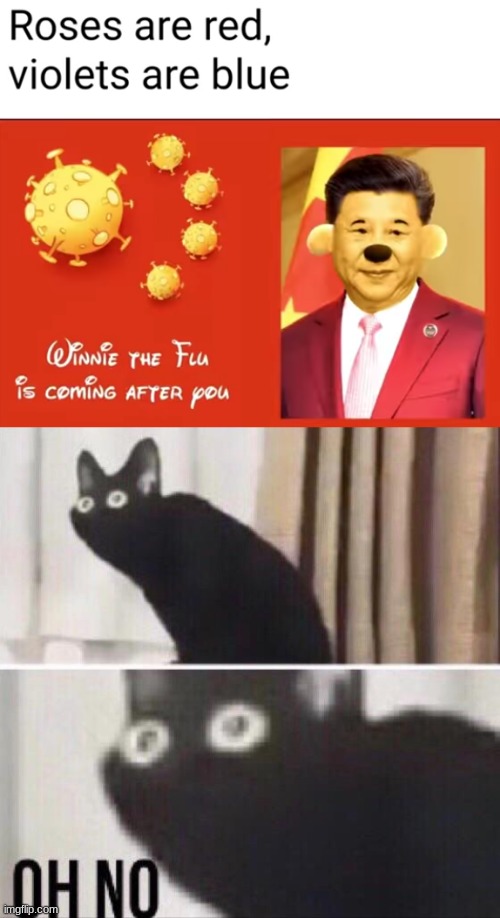 Oh no... | image tagged in oh no cat | made w/ Imgflip meme maker