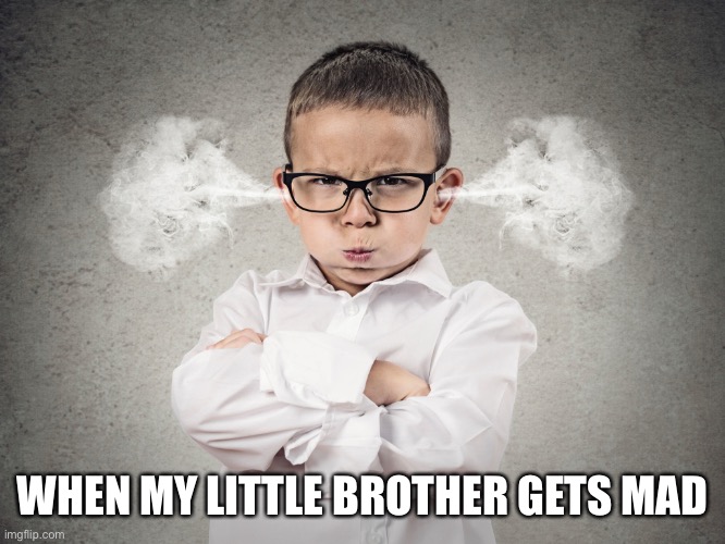 bro gets mad | WHEN MY LITTLE BROTHER GETS MAD | image tagged in anger of brothers,mwahahaha,anger,life alert | made w/ Imgflip meme maker