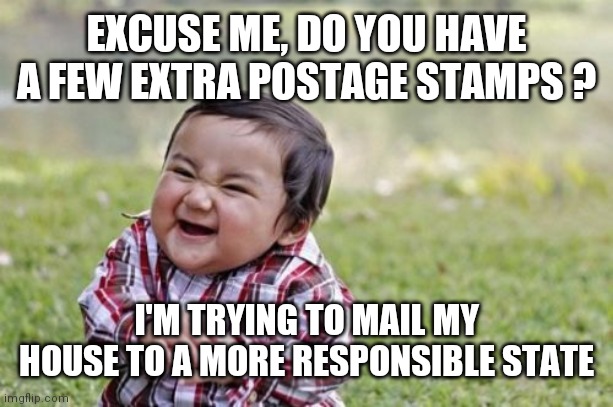 Idaho or Bust | EXCUSE ME, DO YOU HAVE A FEW EXTRA POSTAGE STAMPS ? I'M TRYING TO MAIL MY HOUSE TO A MORE RESPONSIBLE STATE | image tagged in memes,evil toddler | made w/ Imgflip meme maker