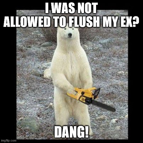 Chainsaw Bear Meme | I WAS NOT ALLOWED TO FLUSH MY EX? DANG! | image tagged in memes,chainsaw bear | made w/ Imgflip meme maker