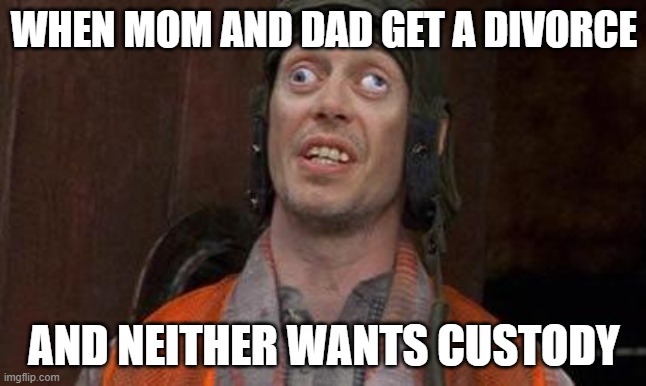 Looks Good To Me | WHEN MOM AND DAD GET A DIVORCE; AND NEITHER WANTS CUSTODY | image tagged in looks good to me | made w/ Imgflip meme maker