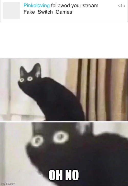 OH NO | image tagged in oh no black cat | made w/ Imgflip meme maker