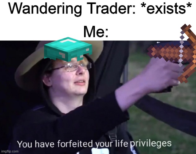 you have forfeited life privileges | Wandering Trader: *exists*; Me: | image tagged in you have forfeited life privileges | made w/ Imgflip meme maker