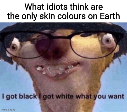 What about green? Or blue? Or pink? Or pale... | What idiots think are the only skin colours on Earth | image tagged in i got black i got white what ya want,memes | made w/ Imgflip meme maker