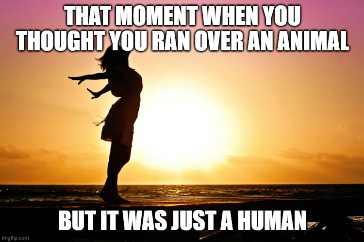 Breakup relief | THAT MOMENT WHEN YOU THOUGHT YOU RAN OVER AN ANIMAL; BUT IT WAS JUST A HUMAN | image tagged in breakup relief | made w/ Imgflip meme maker