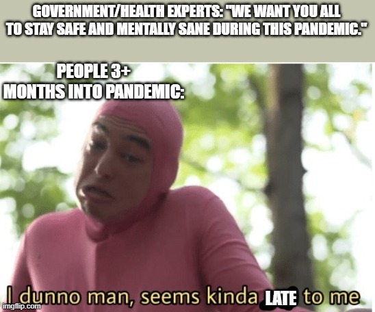 Should've said that before we disappeared | GOVERNMENT/HEALTH EXPERTS: "WE WANT YOU ALL TO STAY SAFE AND MENTALLY SANE DURING THIS PANDEMIC."; PEOPLE 3+ MONTHS INTO PANDEMIC:; LATE | image tagged in i dunno man seems kinda gay to me | made w/ Imgflip meme maker