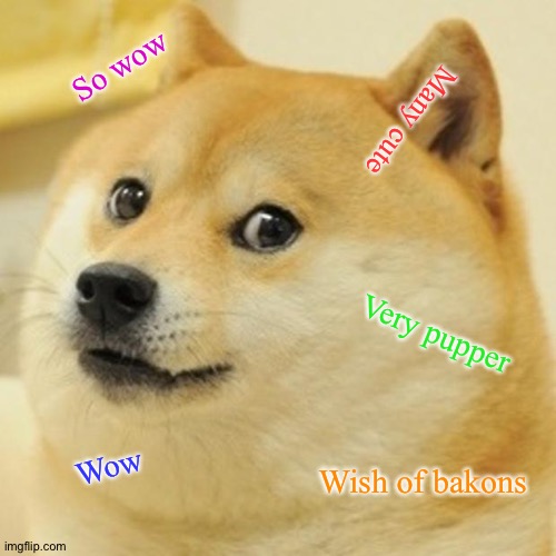 Doge | So wow; Many cute; Very pupper; Wow; Wish of bakons | image tagged in memes,doge | made w/ Imgflip meme maker