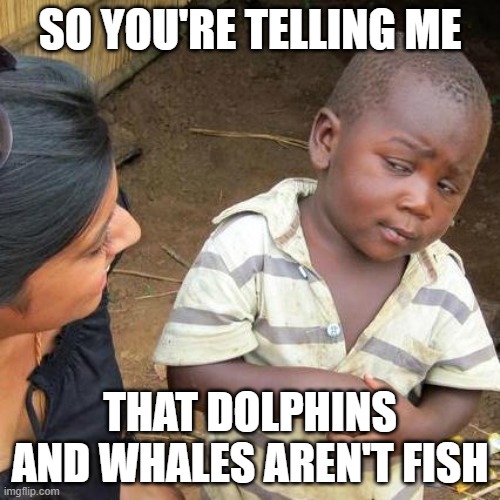 Third World Skeptical Kid Meme | SO YOU'RE TELLING ME; THAT DOLPHINS AND WHALES AREN'T FISH | image tagged in memes,third world skeptical kid | made w/ Imgflip meme maker