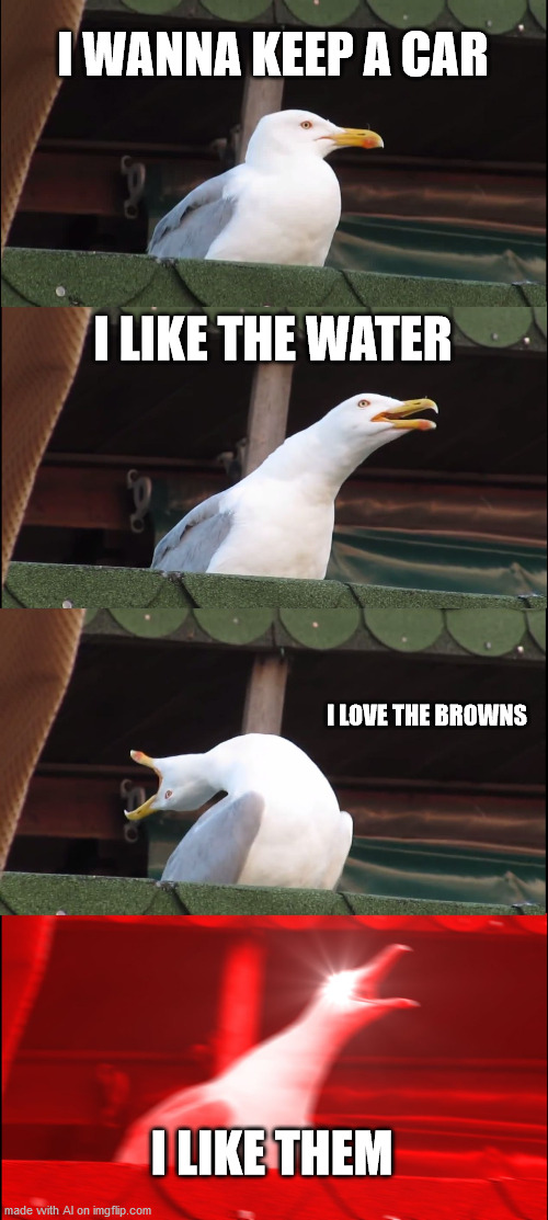 Inhaling Seagull | I WANNA KEEP A CAR; I LIKE THE WATER; I LOVE THE BROWNS; I LIKE THEM | image tagged in memes,inhaling seagull | made w/ Imgflip meme maker