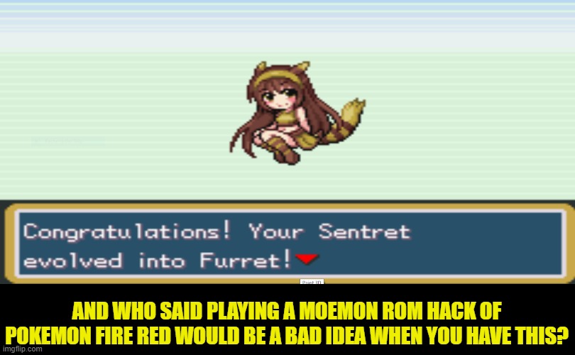 I do have the ROM, and Furret is so adorable, not gonna lie cause it's true. And, I may do a playthrough on my YT channel | AND WHO SAID PLAYING A MOEMON ROM HACK OF POKEMON FIRE RED WOULD BE A BAD IDEA WHEN YOU HAVE THIS? | image tagged in furret | made w/ Imgflip meme maker