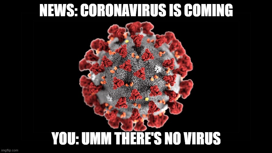Coronavirus | NEWS: CORONAVIRUS IS COMING; YOU: UMM THERE'S NO VIRUS | image tagged in corona virus | made w/ Imgflip meme maker