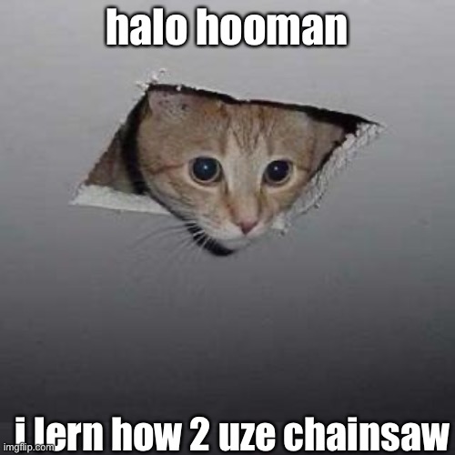 Ceiling Cat | halo hooman; i lern how 2 uze chainsaw | image tagged in memes,ceiling cat | made w/ Imgflip meme maker