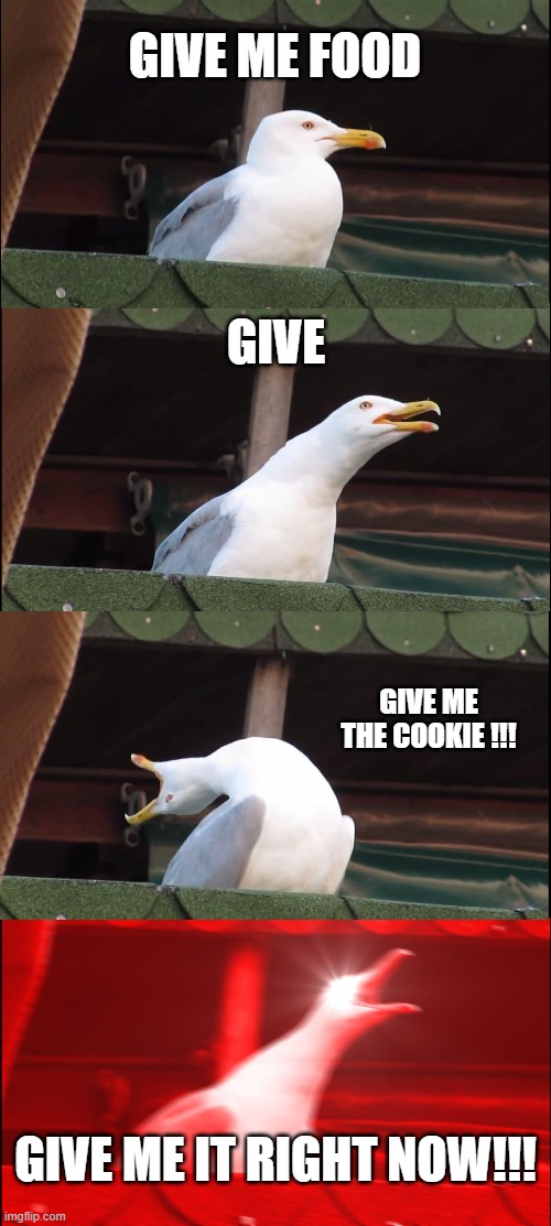 Inhaling Seagull | GIVE ME FOOD; GIVE; GIVE ME THE COOKIE !!! GIVE ME IT RIGHT NOW!!! | image tagged in memes,inhaling seagull | made w/ Imgflip meme maker