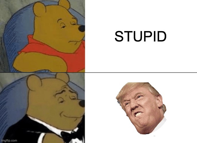 Tuxedo Winnie The Pooh Meme | STUPID | image tagged in memes,tuxedo winnie the pooh | made w/ Imgflip meme maker