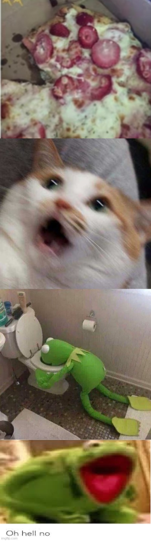 I think I'll pass on that one... | image tagged in kermit throwing up,oh hell no,screaming cat | made w/ Imgflip meme maker