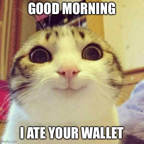 Smiling Cat Meme | GOOD MORNING; I ATE YOUR WALLET | image tagged in memes,smiling cat | made w/ Imgflip meme maker