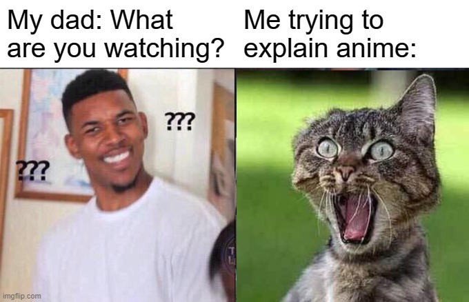 you when boomers ask you what you're doing | My dad: What are you watching? Me trying to explain anime: | image tagged in existence | made w/ Imgflip meme maker