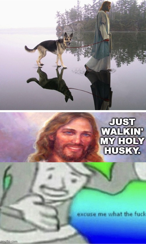 Okay, but why do you flex on your own creations? | JUST WALKIN' MY HOLY HUSKY. | image tagged in excuse me wtf blank template,skillz,reactionpic,goodmeme,blursed,cursed image | made w/ Imgflip meme maker