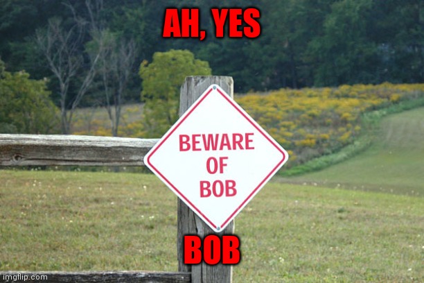 He's a madman | AH, YES; BOB | image tagged in memes | made w/ Imgflip meme maker