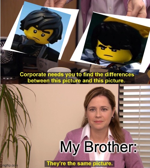 They're The Same Picture Meme | My Brother: | image tagged in memes,they're the same picture | made w/ Imgflip meme maker
