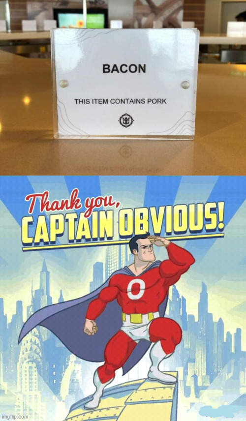 image tagged in thank you captain obvious,bacon,you don't say | made w/ Imgflip meme maker