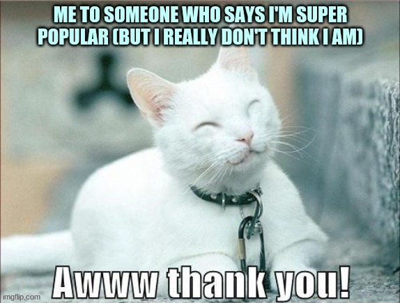 image tagged in awww thank you,i love nice people | made w/ Imgflip meme maker
