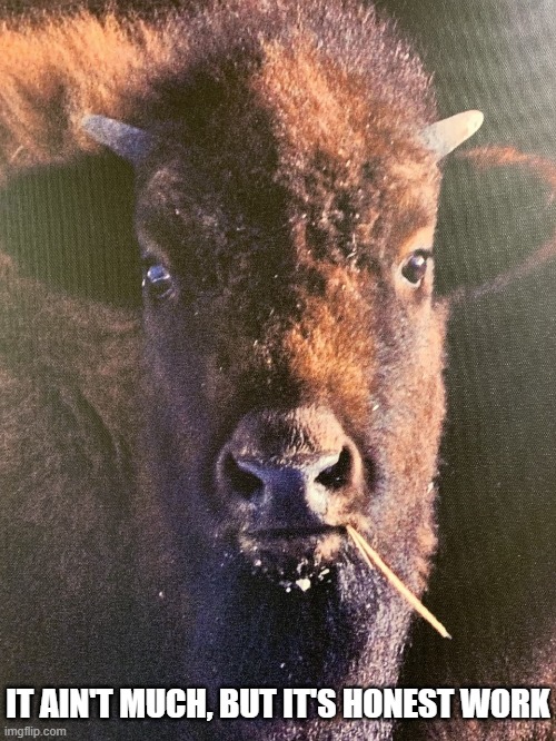 it aint much, but its honest buffalo | IT AIN'T MUCH, BUT IT'S HONEST WORK | image tagged in funny | made w/ Imgflip meme maker