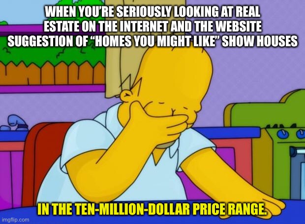 How do they come up with these suggestions? | WHEN YOU’RE SERIOUSLY LOOKING AT REAL ESTATE ON THE INTERNET AND THE WEBSITE SUGGESTION OF “HOMES YOU MIGHT LIKE” SHOW HOUSES; IN THE TEN-MILLION-DOLLAR PRICE RANGE. | image tagged in smh homer | made w/ Imgflip meme maker