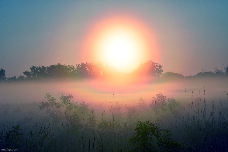 sunrise in the fog | image tagged in sunrise,fog | made w/ Imgflip meme maker
