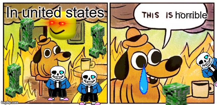 The horror in United states | horrible; In united states | image tagged in memes,this is fine | made w/ Imgflip meme maker