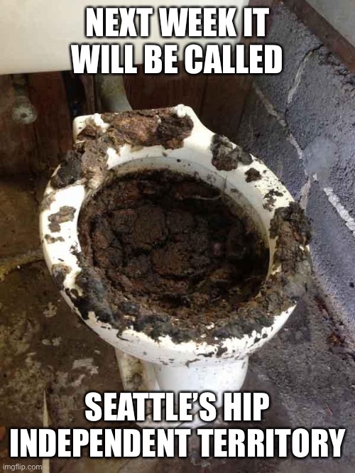 toilet | NEXT WEEK IT WILL BE CALLED SEATTLE’S HIP INDEPENDENT TERRITORY | image tagged in toilet | made w/ Imgflip meme maker