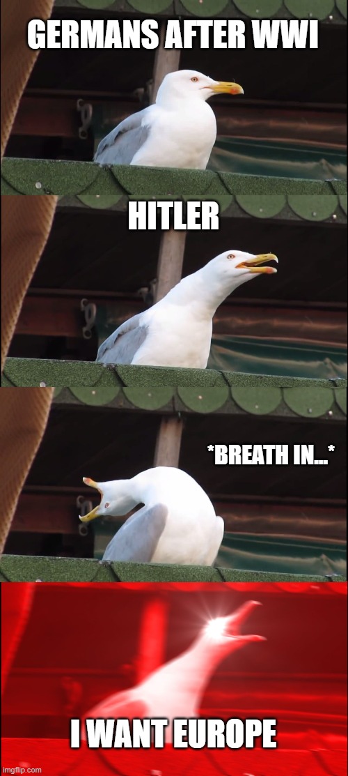 Inhaling Seagull Meme | GERMANS AFTER WWI; HITLER; *BREATH IN...*; I WANT EUROPE | image tagged in memes,inhaling seagull | made w/ Imgflip meme maker