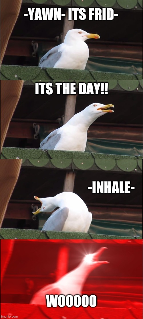 You realise its the day you have a sleepover . | -YAWN- ITS FRID-; ITS THE DAY!! -INHALE-; WOOOOO | image tagged in memes,inhaling seagull,sleep | made w/ Imgflip meme maker