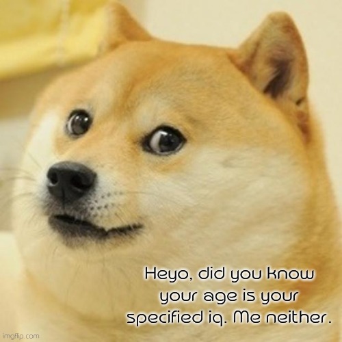 pretty Doge if you ask me. | Heyo, did you know your age is your specified iq. Me neither. | image tagged in memes,doge | made w/ Imgflip meme maker