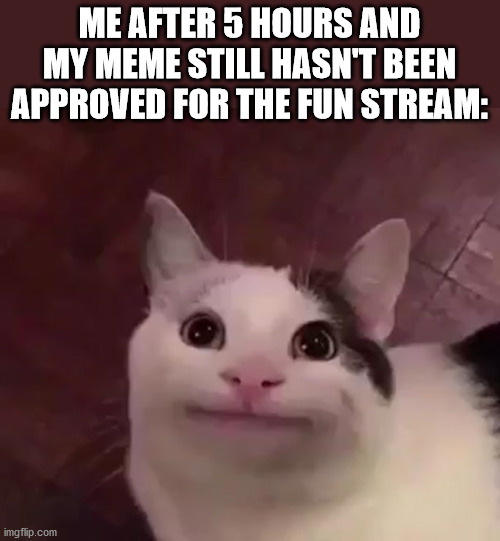 Awkward Cat | ME AFTER 5 HOURS AND MY MEME STILL HASN'T BEEN APPROVED FOR THE FUN STREAM: | image tagged in awkward cat,memes | made w/ Imgflip meme maker