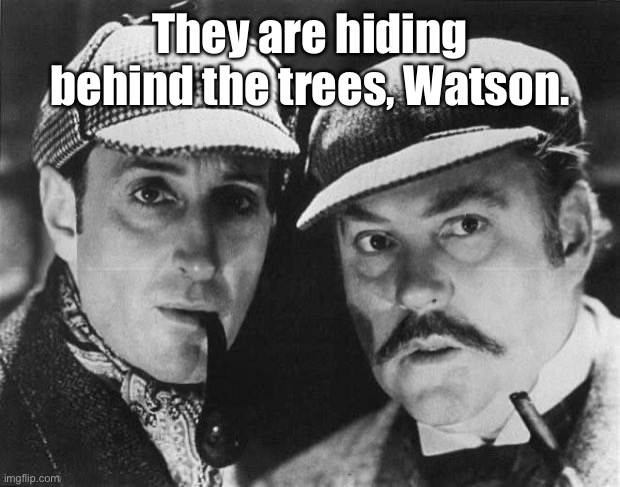 sherlock holmes | They are hiding behind the trees, Watson. | image tagged in sherlock holmes | made w/ Imgflip meme maker