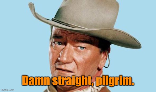 John Wayne | Damn straight, pilgrim. | image tagged in john wayne | made w/ Imgflip meme maker