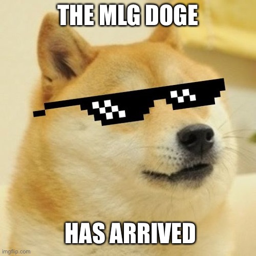 dOgE | THE MLG DOGE; HAS ARRIVED | image tagged in mlg doge | made w/ Imgflip meme maker