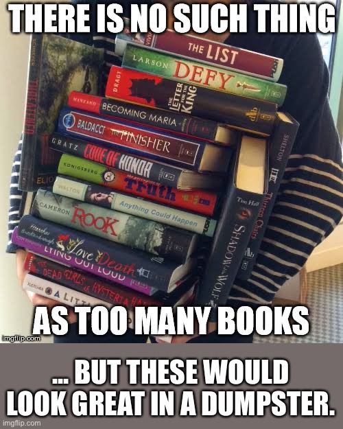 Stacks of trash | ... BUT THESE WOULD LOOK GREAT IN A DUMPSTER. | image tagged in books,authors,writing,literary trash,best sellers | made w/ Imgflip meme maker