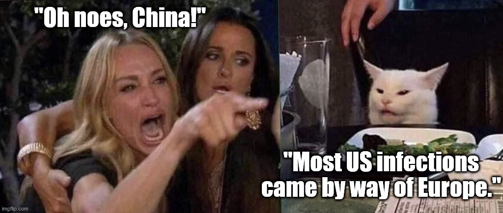 woman yelling at cat | "Oh noes, China!" "Most US infections came by way of Europe." | image tagged in woman yelling at cat | made w/ Imgflip meme maker