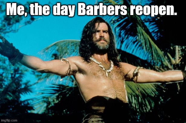 Barbers reopen | Me, the day Barbers reopen. | image tagged in barber,covid 19,lockdown,hairy | made w/ Imgflip meme maker