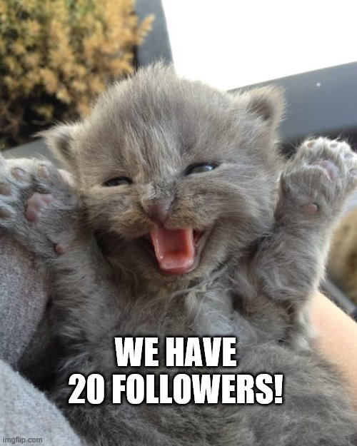 Yay Kitty | WE HAVE 20 FOLLOWERS! | image tagged in yay kitty | made w/ Imgflip meme maker