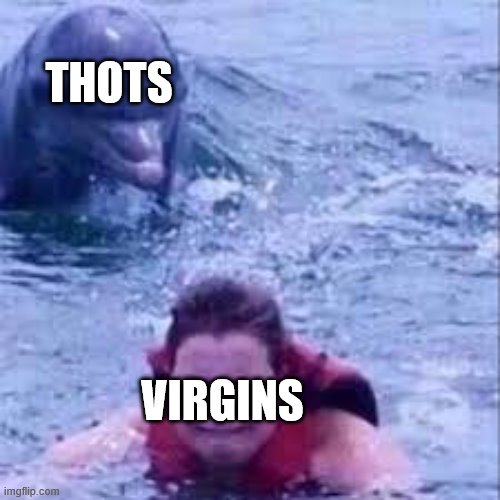 Dolphin chases swimmer | THOTS; VIRGINS | image tagged in dolphin chases swimmer | made w/ Imgflip meme maker